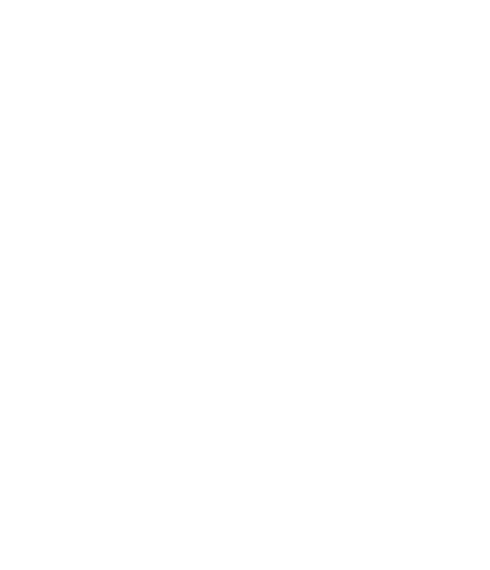 Sonidec Logo